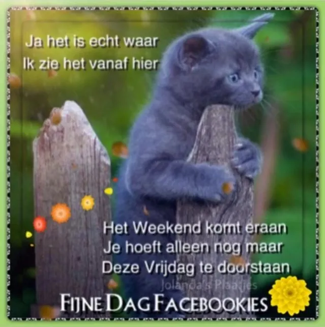ᐅ fijne vrijdag - Vrijdag plaatjes ᐅ fijne vrijdag - Vrijdag plaatjes