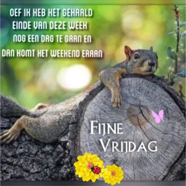 ᐅ fijne vrijdag - Vrijdag plaatjes ᐅ fijne vrijdag - Vrijdag plaatjes