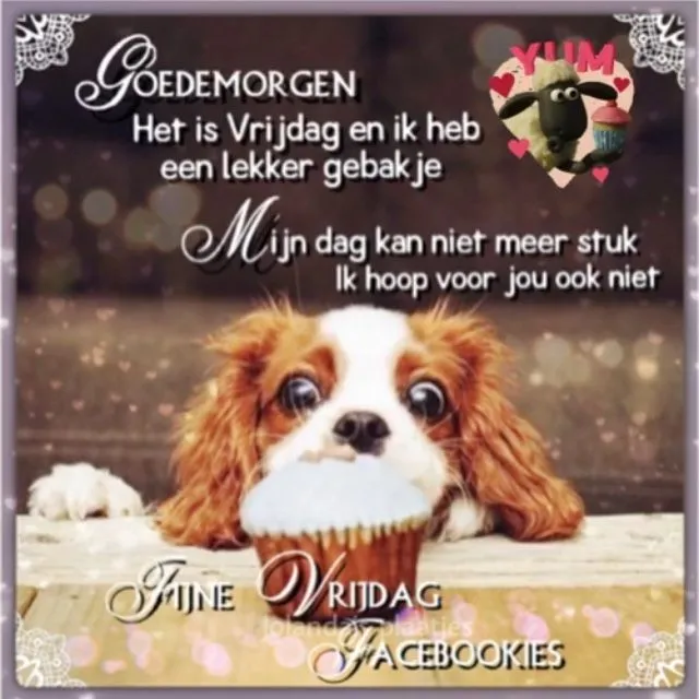 ᐅ fijne vrijdag - Vrijdag plaatjes ᐅ fijne vrijdag - Vrijdag plaatjes