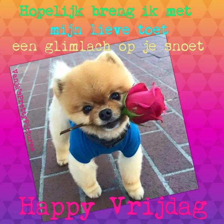 ᐅ fijne vrijdag - Vrijdag plaatjes ᐅ fijne vrijdag - Vrijdag plaatjes