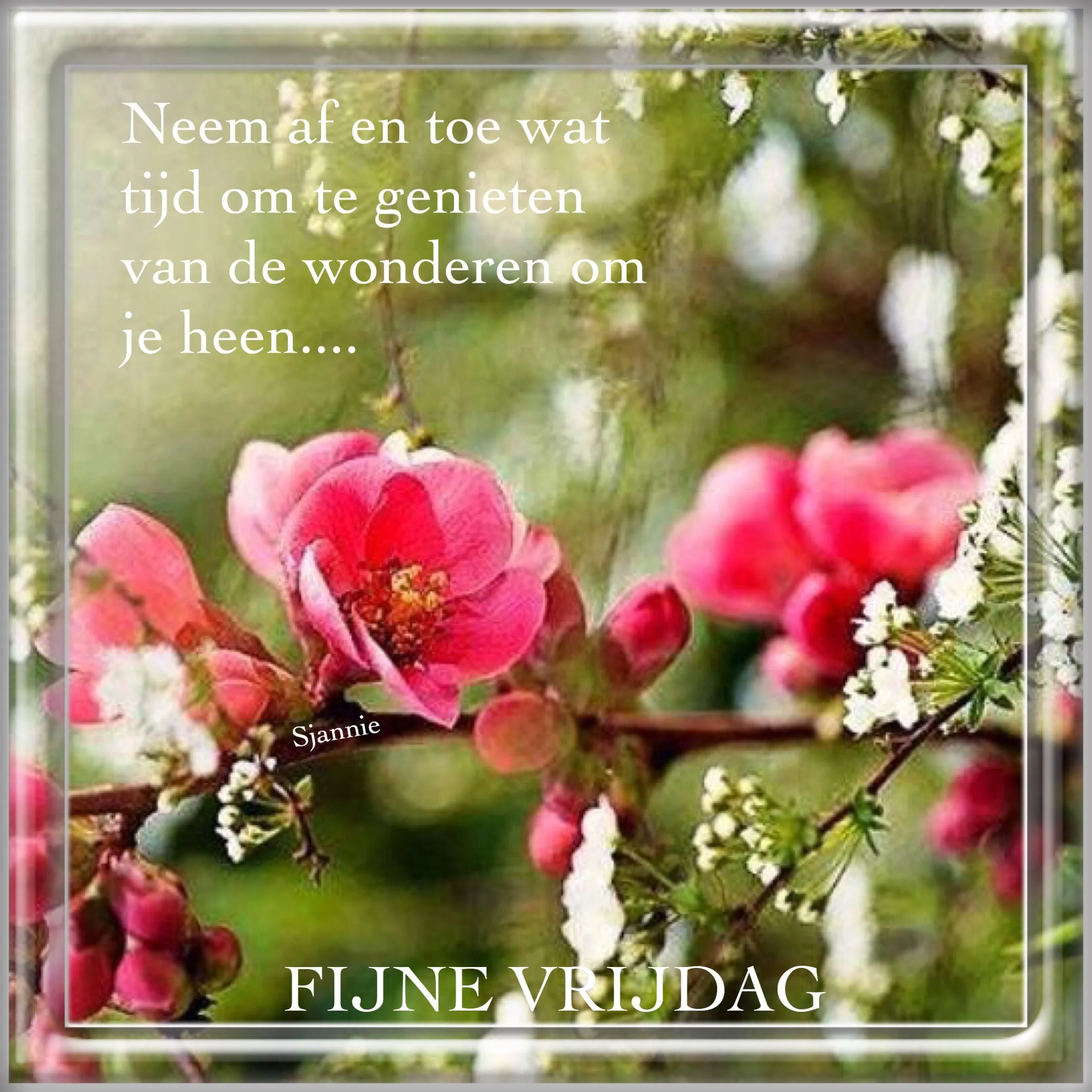 ᐅ fijne vrijdag - Vrijdag plaatjes ᐅ fijne vrijdag - Vrijdag plaatjes