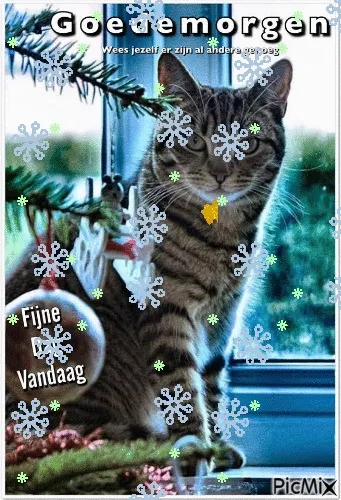 ᐅ fijne vrijdag gif - Vrijdag plaatjes ᐅ fijne vrijdag gif - Vrijdag plaatjes