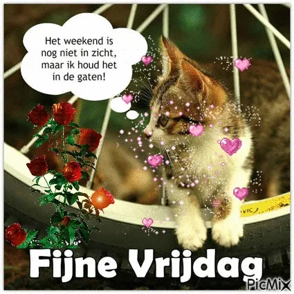 ᐅ fijne vrijdag gif - Vrijdag plaatjes ᐅ fijne vrijdag gif - Vrijdag plaatjes