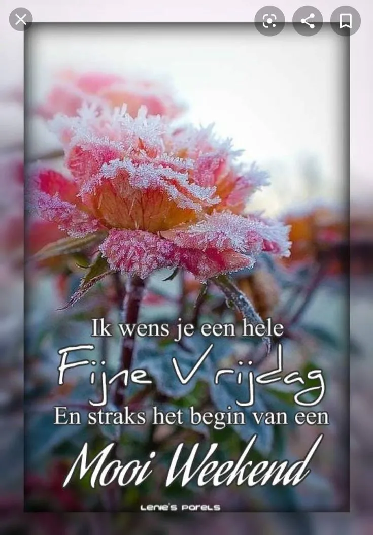 ᐅ fijne vrijdag wensen - Vrijdag plaatjes ᐅ fijne vrijdag wensen - Vrijdag plaatjes