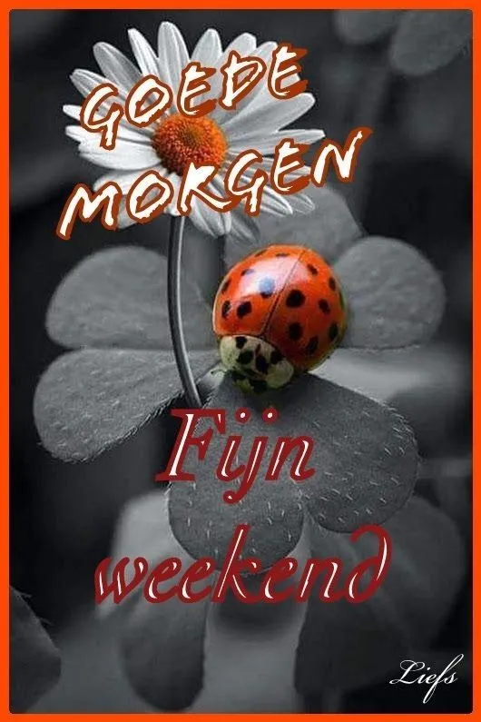 ᐅ fijne vrijdag wensen - Vrijdag plaatjes ᐅ fijne vrijdag wensen - Vrijdag plaatjes