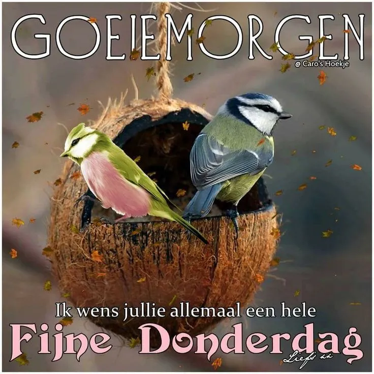 ᐅ fijne vrijdag wensen - Vrijdag plaatjes ᐅ fijne vrijdag wensen - Vrijdag plaatjes