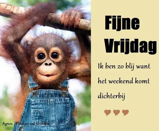ᐅ fijne vrijdag wensen - Vrijdag plaatjes ᐅ fijne vrijdag wensen - Vrijdag plaatjes
