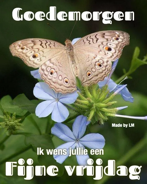 ᐅ fijne vrijdag wensen - Vrijdag plaatjes ᐅ fijne vrijdag wensen - Vrijdag plaatjes