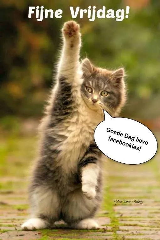 ᐅ fijne vrijdag wensen - Vrijdag plaatjes ᐅ fijne vrijdag wensen - Vrijdag plaatjes