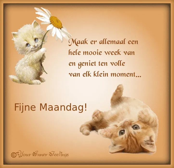 Twee schattige kittens met een boodschap voor een fijne maandag.