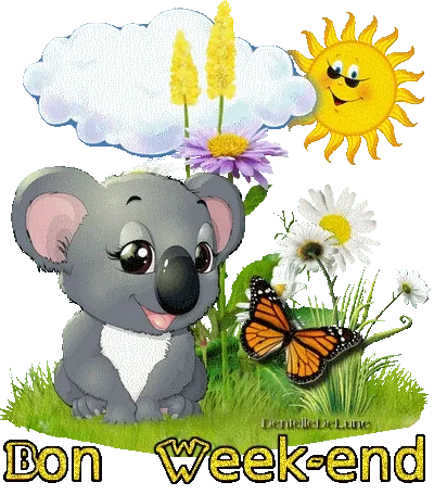 Koala zit in een bloemenveld met een zon en een vlinder, met de tekst "Bon Week-end".