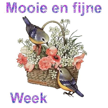 Twee vogels rond een mand met bloemen en de tekst "Mooie en fijne Week".