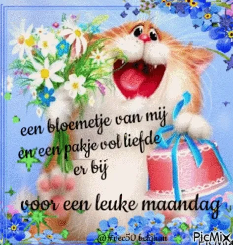 Kat met bloemen en een cadeau, tekst over een leuke maandag.