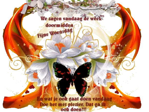 Kleurrijke achtergrond met bloemen en een vlinder, met tekst over woensdag.