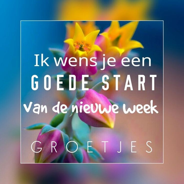 Bloem achtergrond met tekst: "Goede start van de nieuwe week. Groetjes."