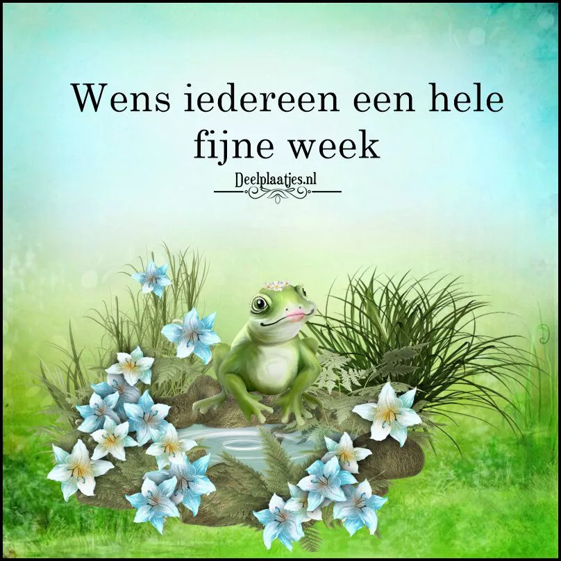 ᐅ Fijne week plaatjes: gratis afbeeldingen en kaarten - Fijne week plaatjes Groene kikker met bloemen, wens voor een fijne week.