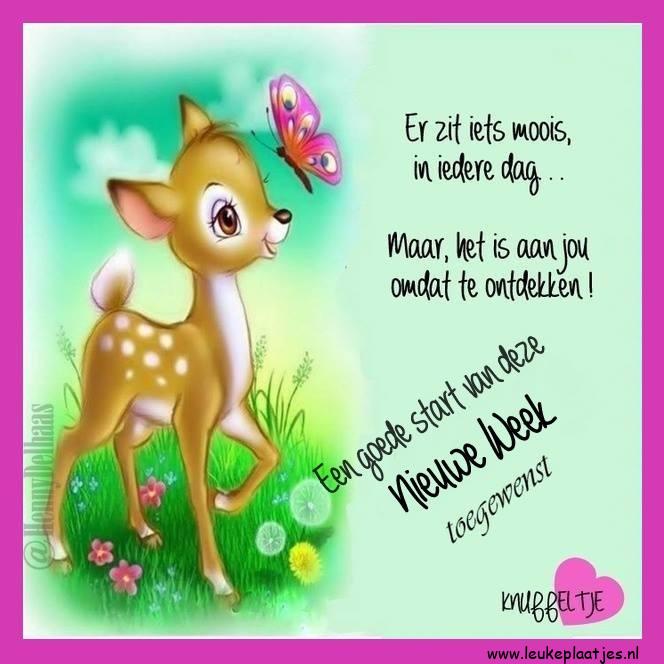 ᐅ fijne week tekst - Fijne week plaatjes