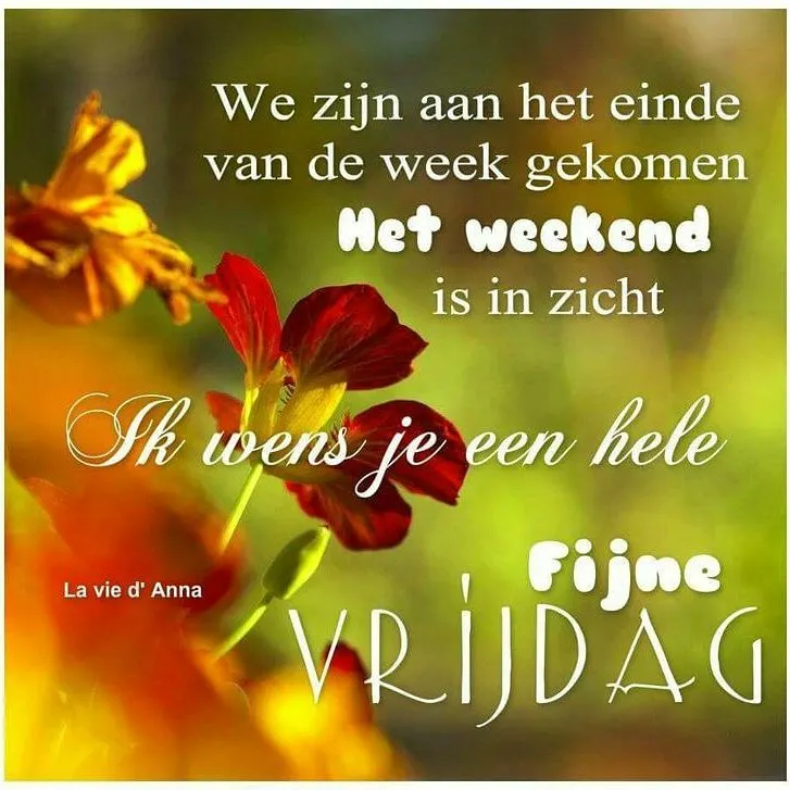 Kleurige bloemen met de tekst: 'Fijne Vrijdag, het weekend is in zicht.'