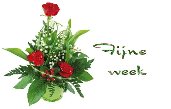 Arts van bloemen met rode rozen en het woord "Fijne week."