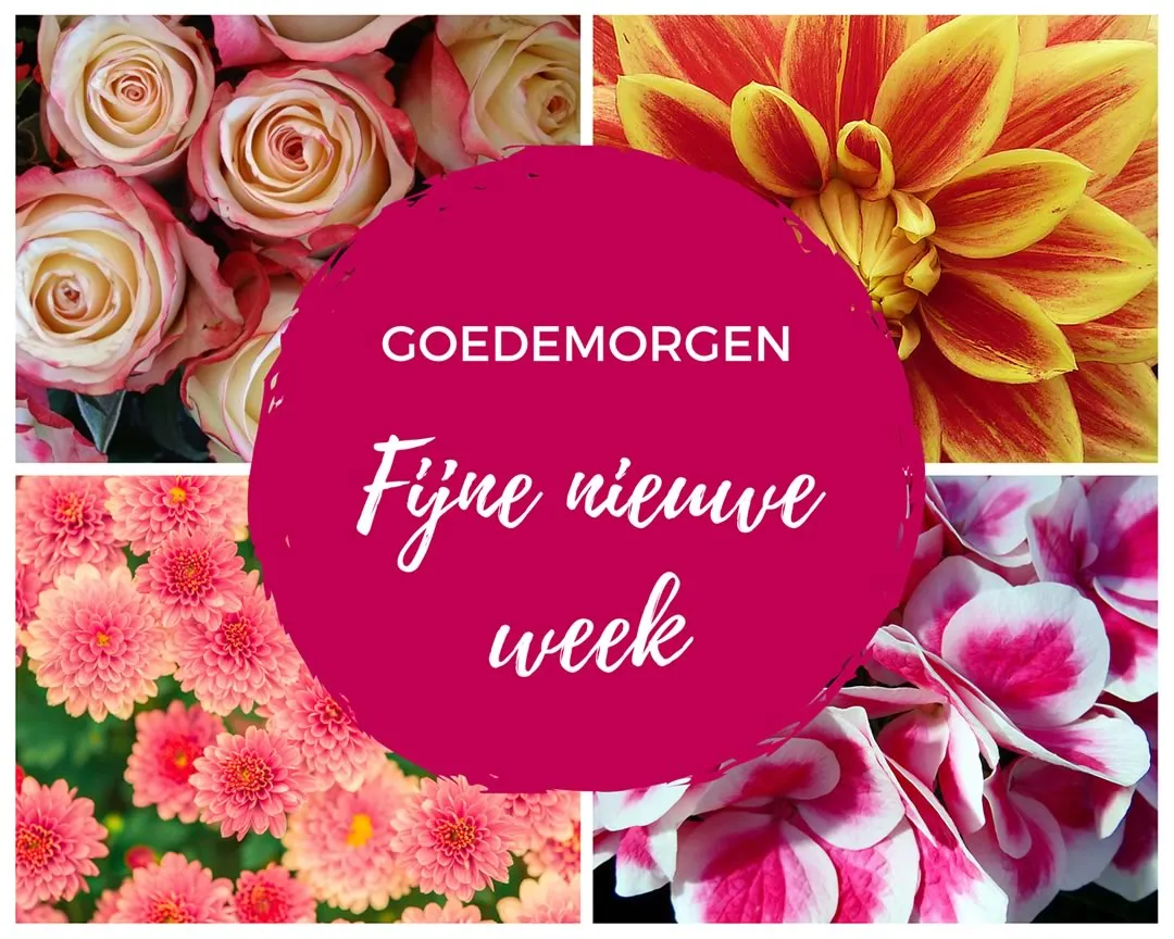 Verschillende bloeiende bloemen met de tekst "Goededmorgen, fijne nieuwe week."