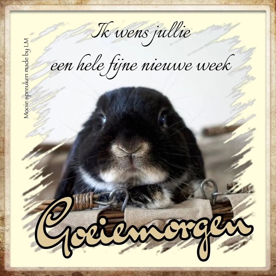 Zwart konijn met een boodschap voor een fijne nieuwe week.