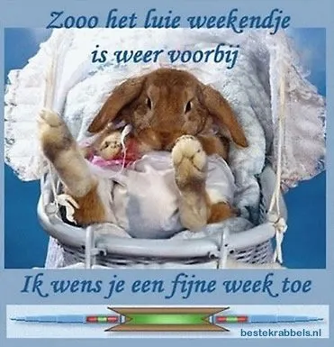 Een schattige konijn in een wieg met de tekst over het voorbij zijn van het weekend.
