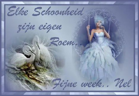 Tweelingzwanen en een vrouw in een witte jurk met de tekst "Elke Schoonheid" en "Fijne week".