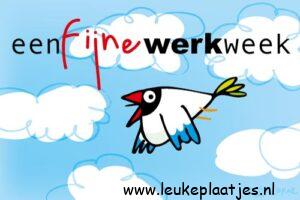 fijne werkweek