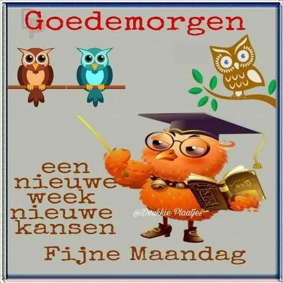 ᐅ fijne werkweek - Fijne week plaatjes Een vrolijke uil met een boek, verwelkomt de nieuwe week en wensen voor een fijne maandag.