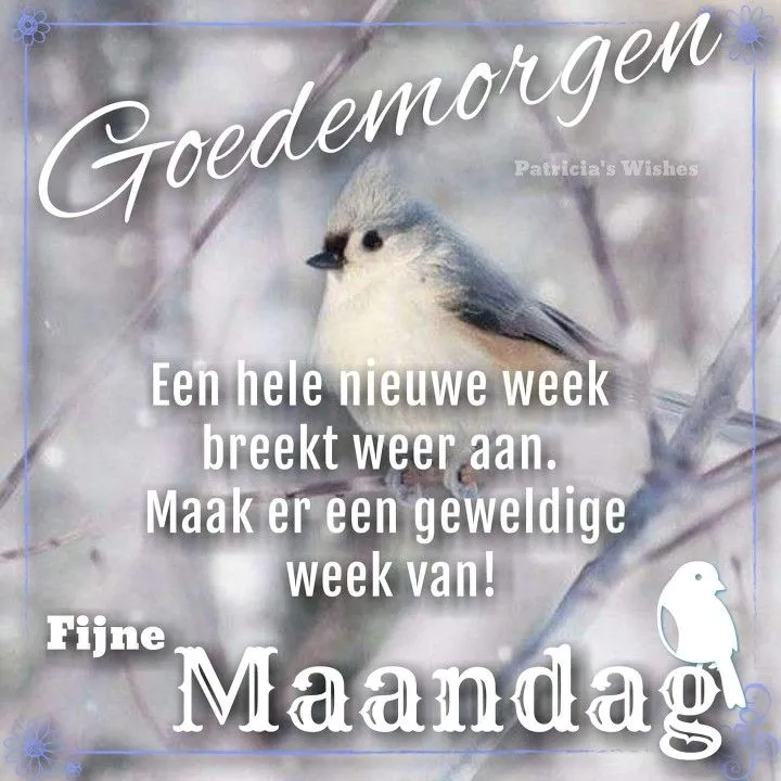 ᐅ fijne werkweek - Fijne week plaatjes Tekst met groet voor een nieuwe week, met een vogel in een winterse omgeving.