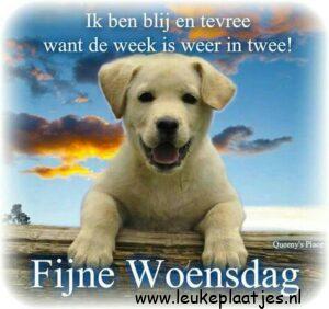fijne woensdag