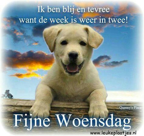 ᐅ fijne woensdag - Woensdag plaatjes