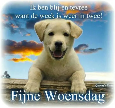 ᐅ fijne woensdag - Woensdag plaatjes