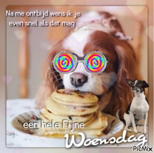 ᐅ fijne woensdag - Woensdag plaatjes