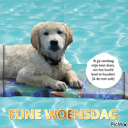 ᐅ fijne woensdag - Woensdag plaatjes