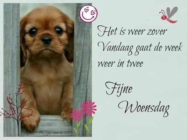ᐅ fijne woensdag - Woensdag plaatjes
