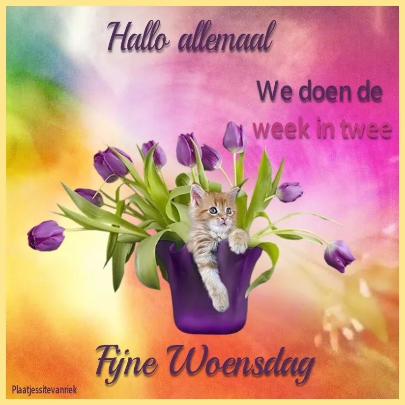 ᐅ fijne woensdag - Woensdag plaatjes