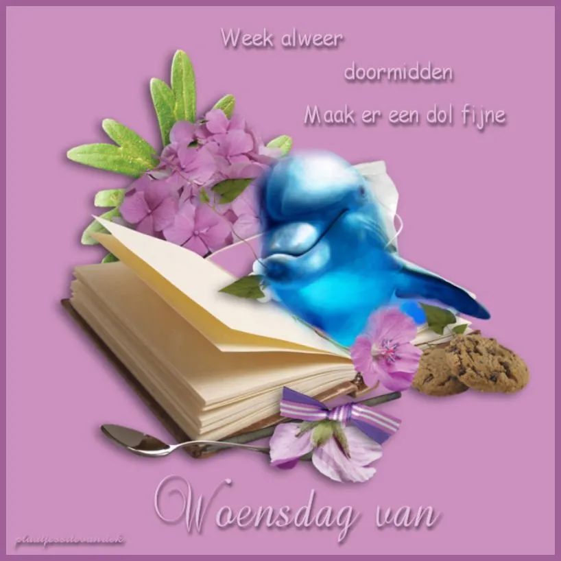 ᐅ fijne woensdag - Woensdag plaatjes