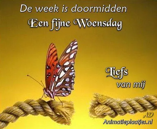ᐅ fijne woensdag - Woensdag plaatjes