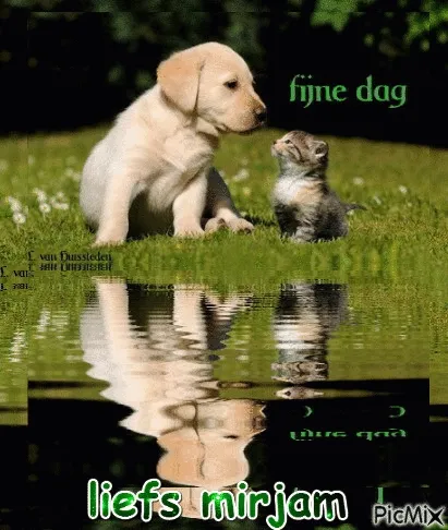 ᐅ fijne woensdag - Woensdag plaatjes