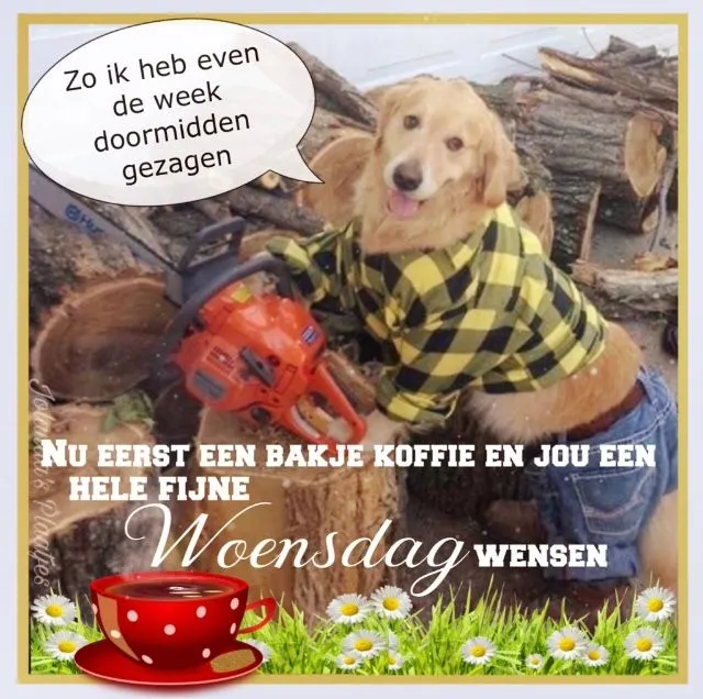 ᐅ fijne woensdag - Woensdag plaatjes