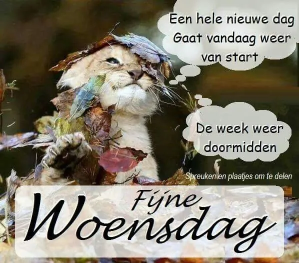 ᐅ fijne woensdag - Woensdag plaatjes