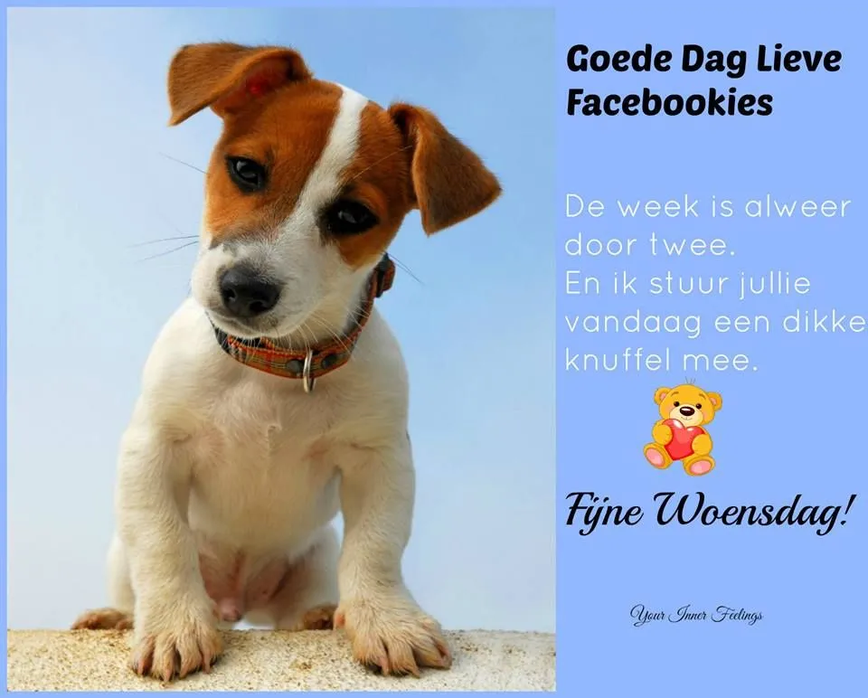 ᐅ fijne woensdag - Woensdag plaatjes