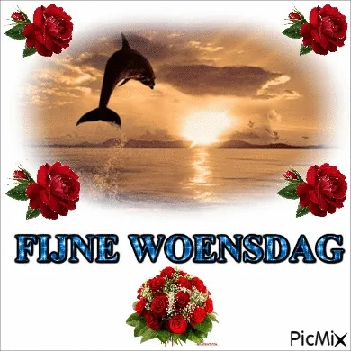 ᐅ fijne woensdag - Woensdag plaatjes