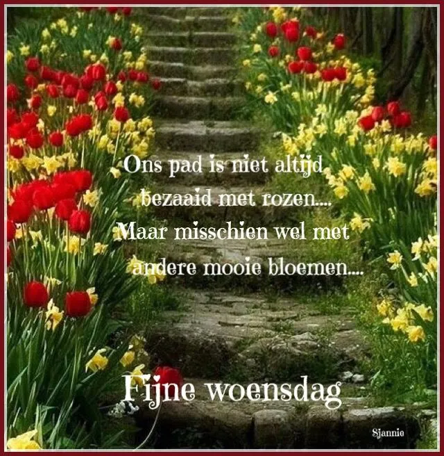 ᐅ fijne woensdag bloemen - Woensdag plaatjes