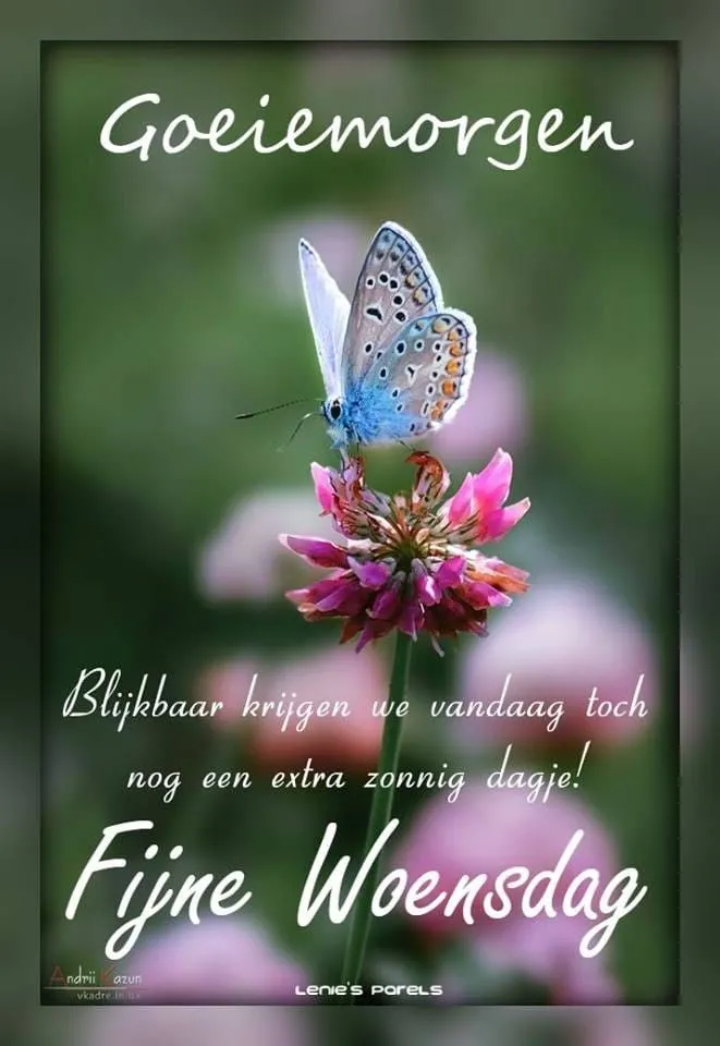 ᐅ fijne woensdag bloemen - Woensdag plaatjes