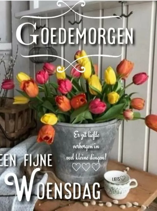 ᐅ fijne woensdag bloemen - Woensdag plaatjes