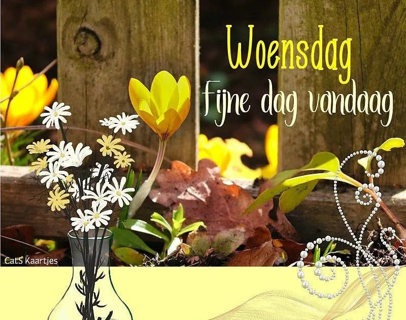 ᐅ fijne woensdag bloemen - Woensdag plaatjes