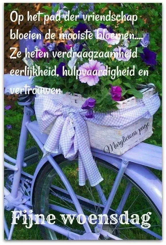 ᐅ fijne woensdag bloemen - Woensdag plaatjes