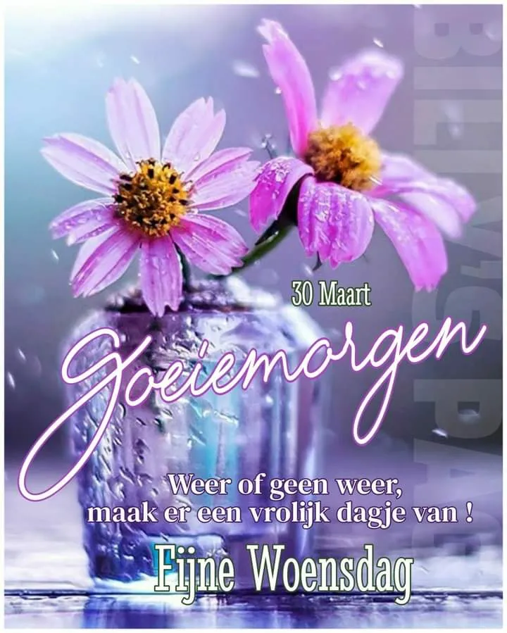 ᐅ fijne woensdag bloemen - Woensdag plaatjes